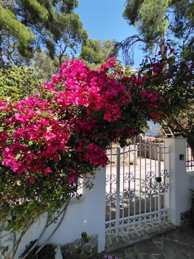 Rigos House At Askeli Beach, Poros Island Poros Town Bagian luar foto